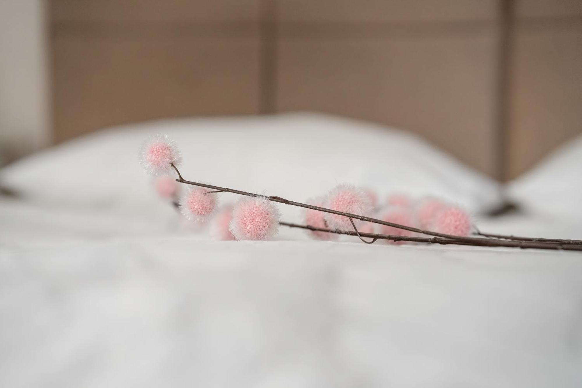 Stylowe I Eleganckie Studia Very Berry W Poznaniu By Noclegi Renters Екстер'єр фото